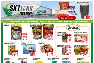 Skyland Food Mart Flyer November 15 to 21