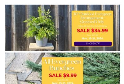 Terra Greenhouses Flyer November 15 to 21