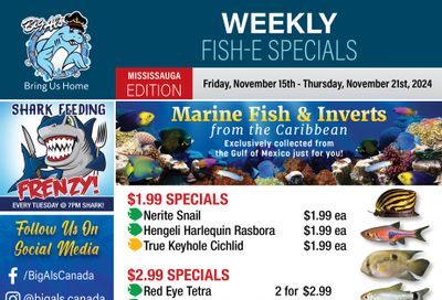 Big Al's (Mississauga) Weekly Specials November 15 to 21