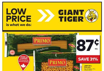 Giant Tiger (Atlantic) Flyer November 20 to 26