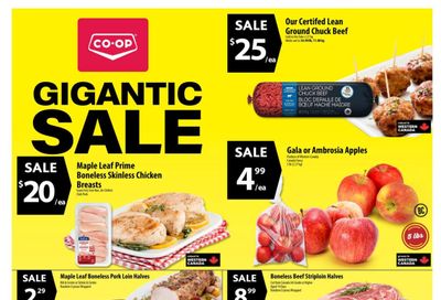 Co-op (West) Food Store Flyer November 21 to 27