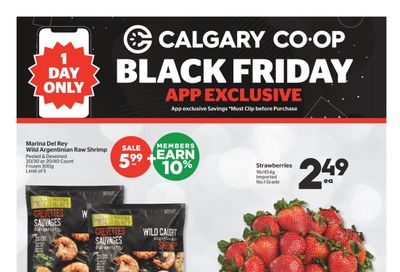 Calgary Co-op Flyer November 28 to December 4