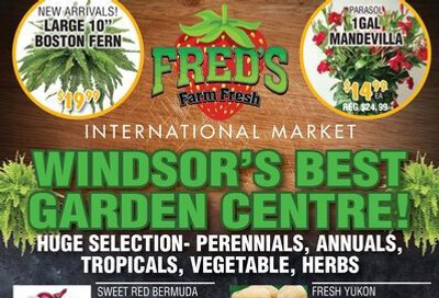 Fred's Farm Fresh Flyer June 10 to 16