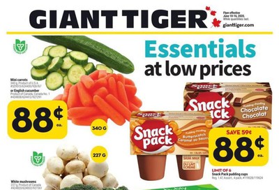 Giant Tiger (ON) Flyer June 10 to 16