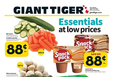 Giant Tiger (Atlantic) Flyer June 10 to 16