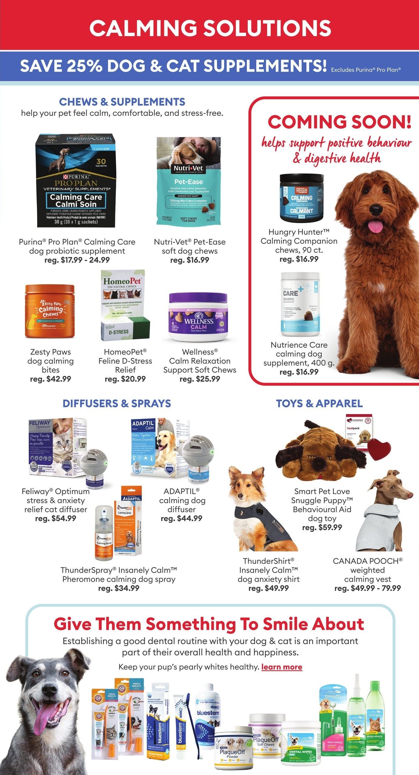 PetSmart Health and Wellness Flyer December 30 to February 2