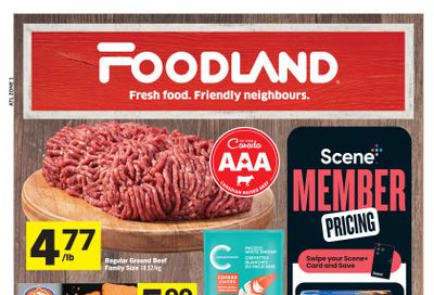 Foodland (Atlantic) Flyer January 2 to 8