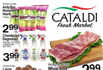 Cataldi Fresh Market Flyer January 15 to 21