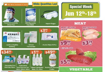 Oceans Fresh Food Market (Brampton) Flyer June 12 to 18