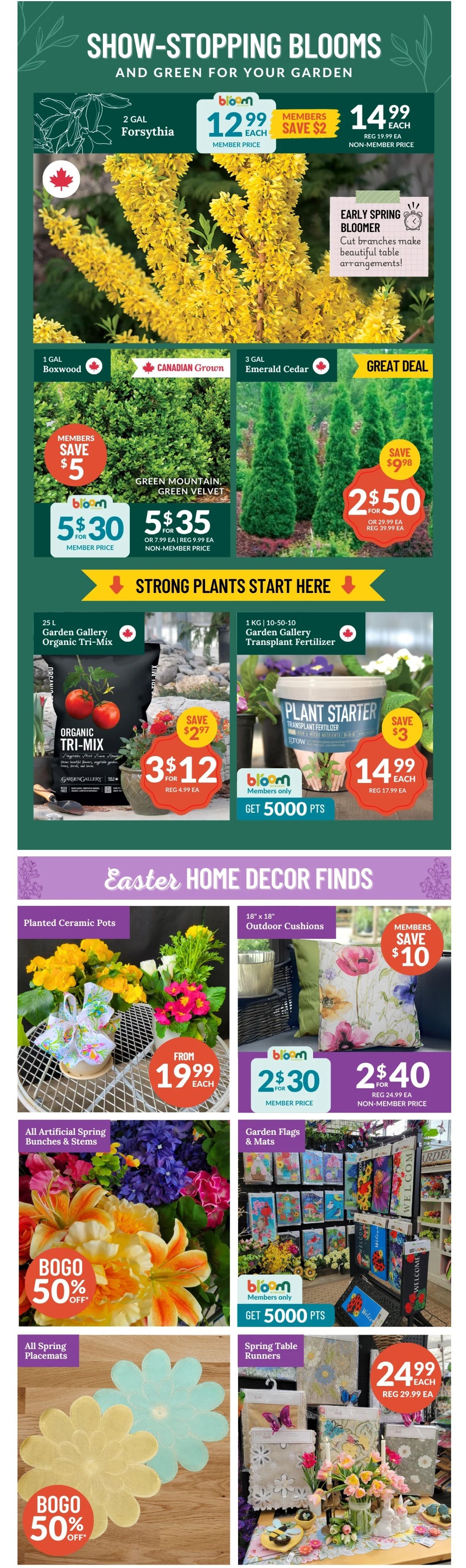 Lakeside Garden Gallery Flyer April 11 to 17