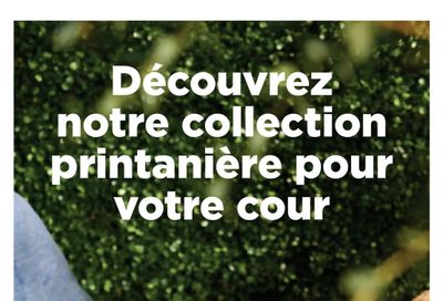 Maxi Spring Flyer April 17 to May 28