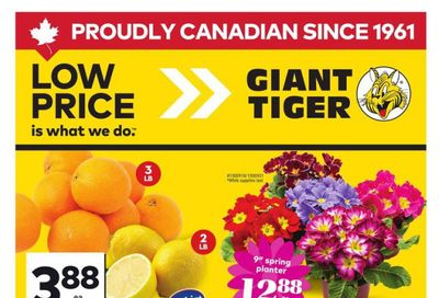 Giant Tiger (West) Flyer May 7 to 13