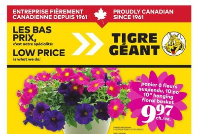 Tigre Géant Flyer May 7 to 13