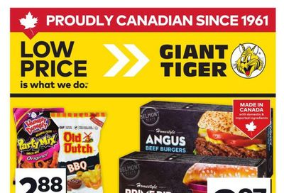 Giant Tiger (ON) Flyer May 14 to 20