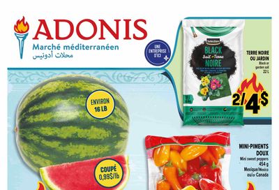 Marche Adonis (QC) Flyer May 15 to 21