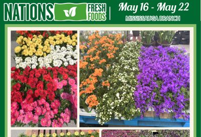 Nations Fresh Foods (Mississauga) Flyer May 16 to 22