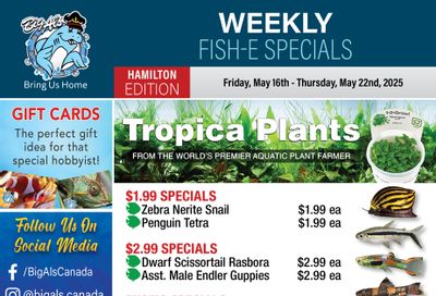Big Al's (Hamilton) Weekly Specials May 16 to 22
