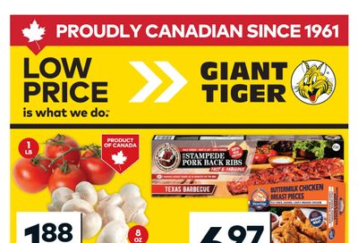 Giant Tiger (West) Flyer May 21 to 27
