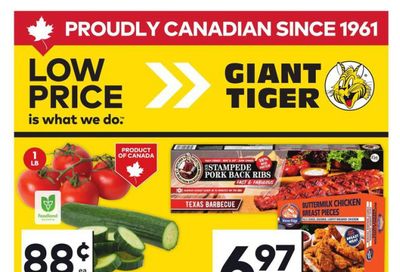 Giant Tiger (ON) Flyer May 21 to 27
