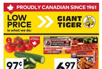 Giant Tiger (Atlantic) Flyer May 21 to 27