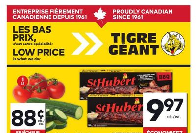 Tigre Géant Flyer May 21 to 27