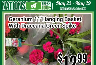 Nations Fresh Foods (Mississauga) Flyer May 23 to 29