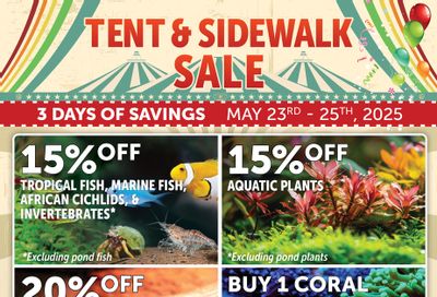 Big Al's (Brampton) Weekly Specials May 23 to 25