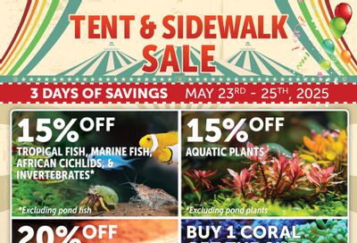 Big Al's (Mississauga) Weekly Specials May 23 to 25