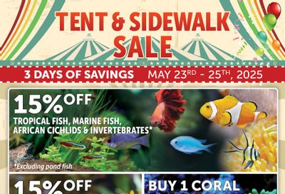 Big Al's (North York) Weekly Specials May 23 to 25 Big Al's (North York) Weekly Specials May 23 to 25