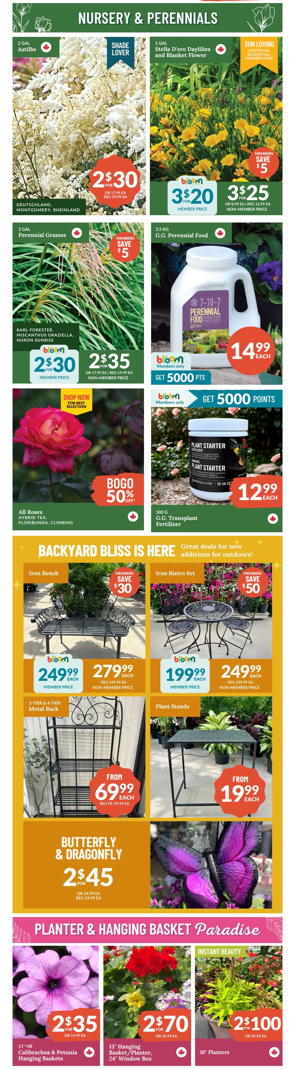 Lakeside Garden Gallery Flyer May 23 to 29