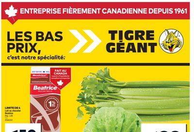 Tigre Géant Flyer May 28 to June 3