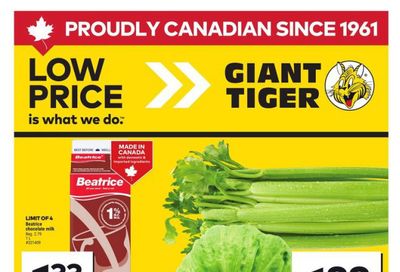 Giant Tiger (ON) Flyer May 28 to June 3