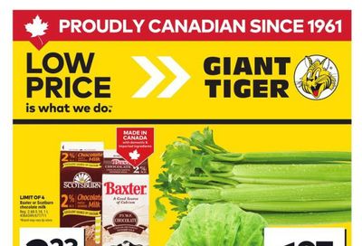 Giant Tiger (Atlantic) Flyer May 28 to June 3