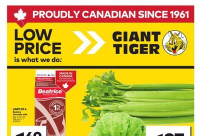 Giant Tiger (West) Flyer May 28 to June 3