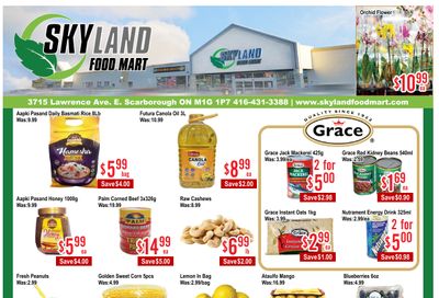 Skyland Food Mart Flyer May 30 to June 5