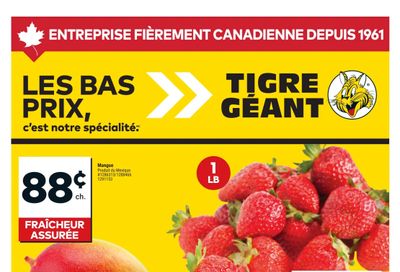 Tigre Géant Flyer June 4 to 10