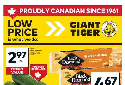 Giant Tiger (West) Flyer June 4 to 10
