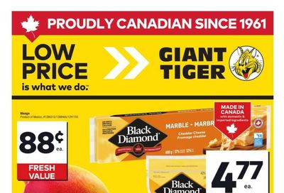 Giant Tiger (ON) Flyer June 4 to 10