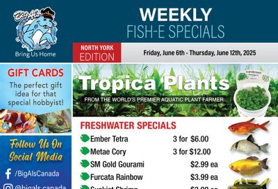 Big Al's (North York) Weekly Specials June 6 to 12