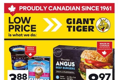 Giant Tiger (ON) Flyer June 11 to 17