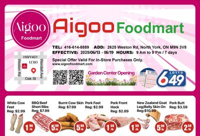 Aigoo Foodmart Flyer June 13 to 19