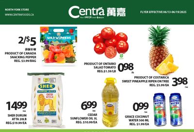 Centra Foods (North York) Flyer June 13 to 19