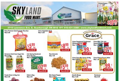 Skyland Food Mart Flyer June 13 to 19