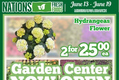 Nations Fresh Foods (Mississauga) Flyer June 13 to 19
