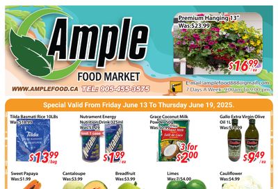 Ample Food Market (Brampton) Flyer June 13 to 19