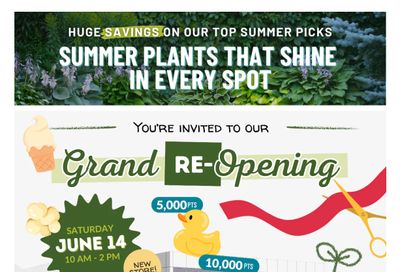 Lakeside Garden Gallery Flyer June 13 to 19