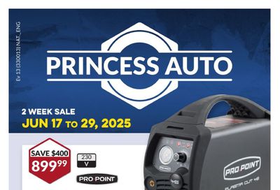 Princess Auto Flyer June 17 to 29