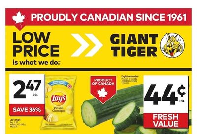 Giant Tiger (ON) Flyer June 18 to 24