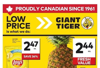 Giant Tiger (West) Flyer June 18 to 24