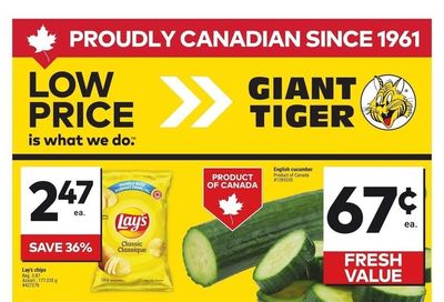Giant Tiger (Atlantic) Flyer June 18 to 24